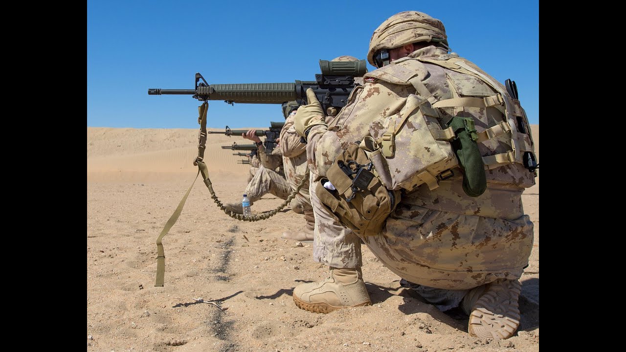 Analysis: Canada's mission against ISIS  - what's next?
