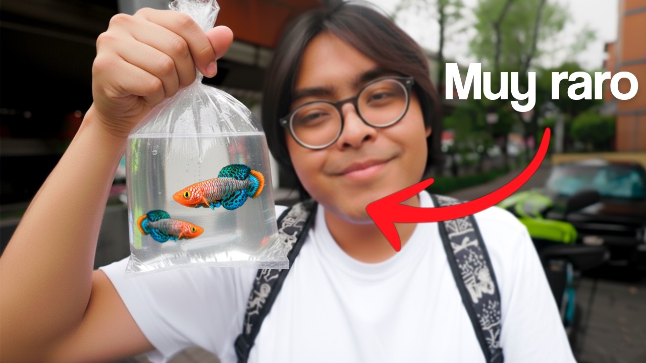 buscando las variedades de Peces Mas Pequeñas y raras del Mercado Morelos