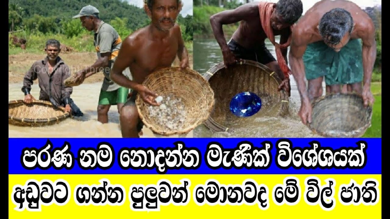 මොනවද මේ විල් ජාති මැණික්#gemstonesidentification#PrasadGemsRatnapura