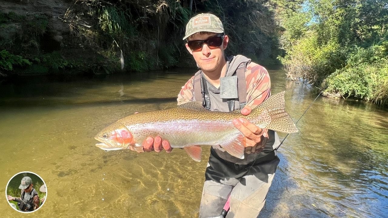 Five Fish in Six Casts! Euro Nymphing for Big Rainbow Trout in New Zealand