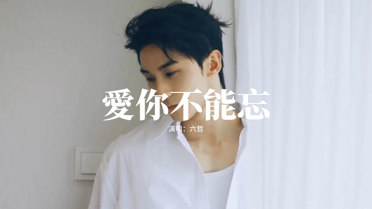 六哲 - 愛你不能忘『淚孤單情難放，只盼有你在身旁，緣分不能繼續，如墜崖千丈。』【動態歌詞MV】