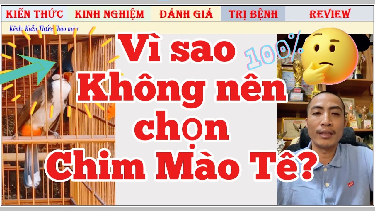 Vì sao chọn chim chào mào 