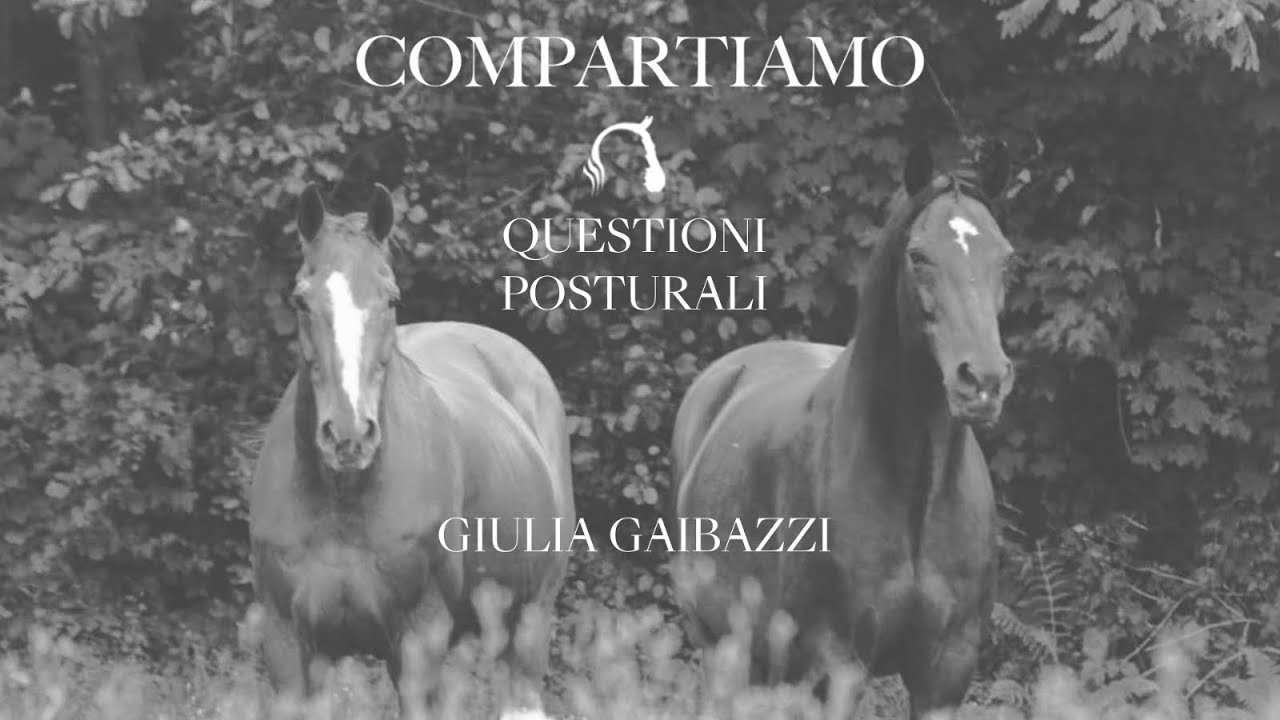Questioni posturali - Giulia Gaibazzi e Silvano Galbiati