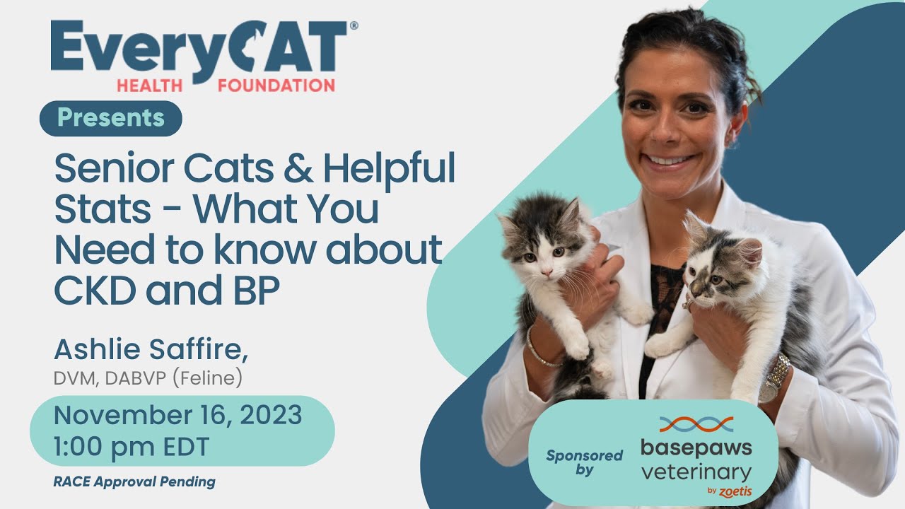 Senior Cats & Helpful Stats – What You Need to know about CKD and BP with Ashlie Saffire, DVM, DABVP