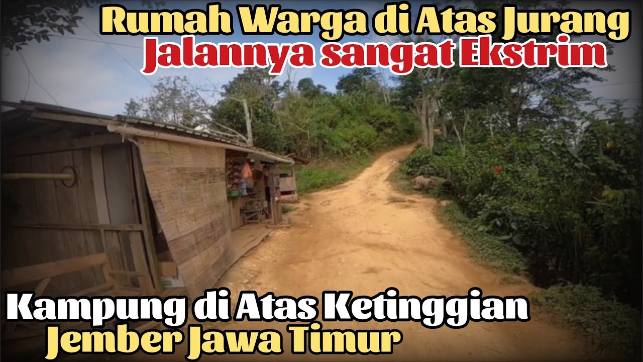 Sangat TIDAK MASUK AKAL, Di Tempat Begini banyak Penduduknya, Perjalanan Menuju Desa Baban Jember