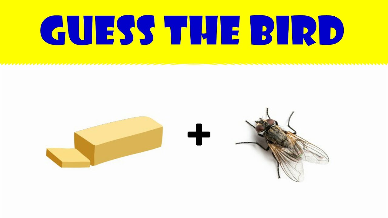Guess The Bird By Emoji ? Emoji Bird Quiz