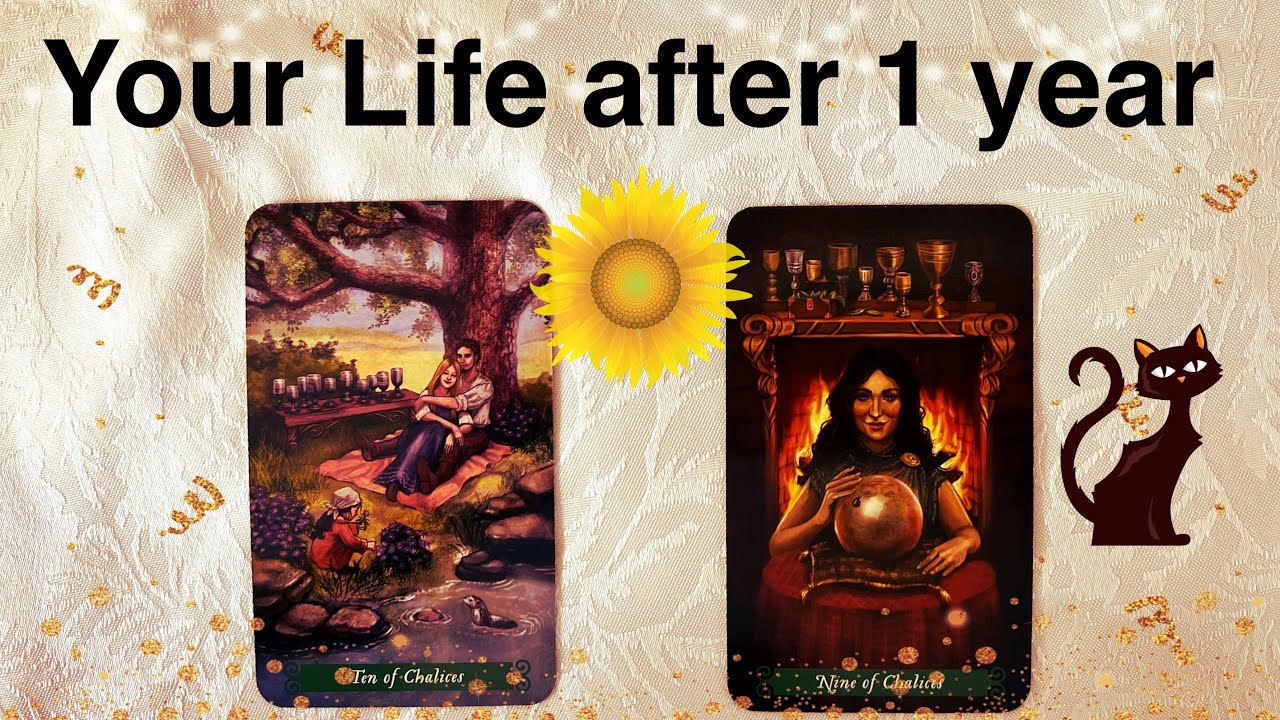 आपकी life 1 year बाद कैसी होगी 😍✨ pick a card timeless