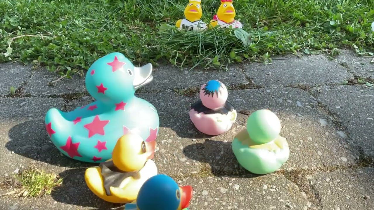 Superducks 2 !