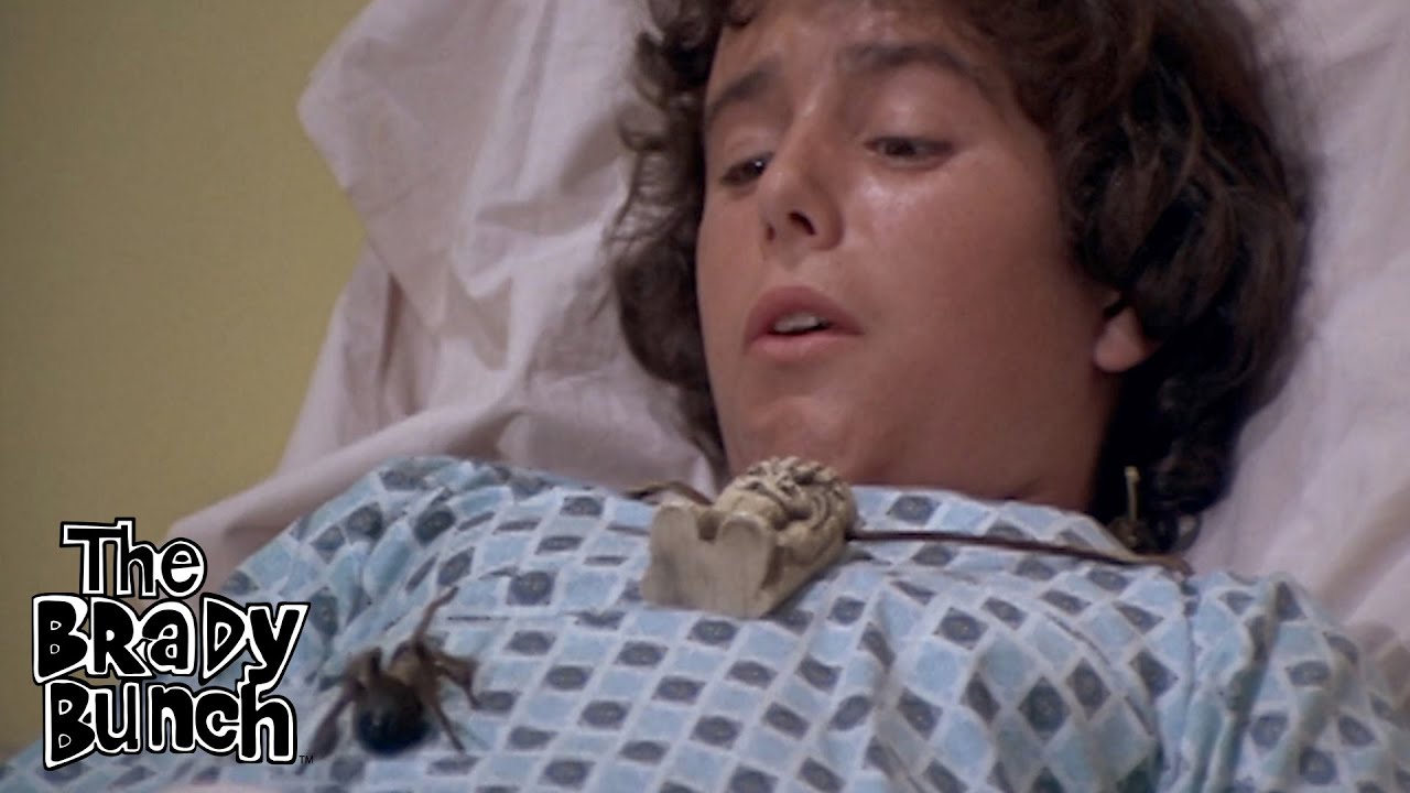 A Tarantula Spider Visits Peter in Hawaii