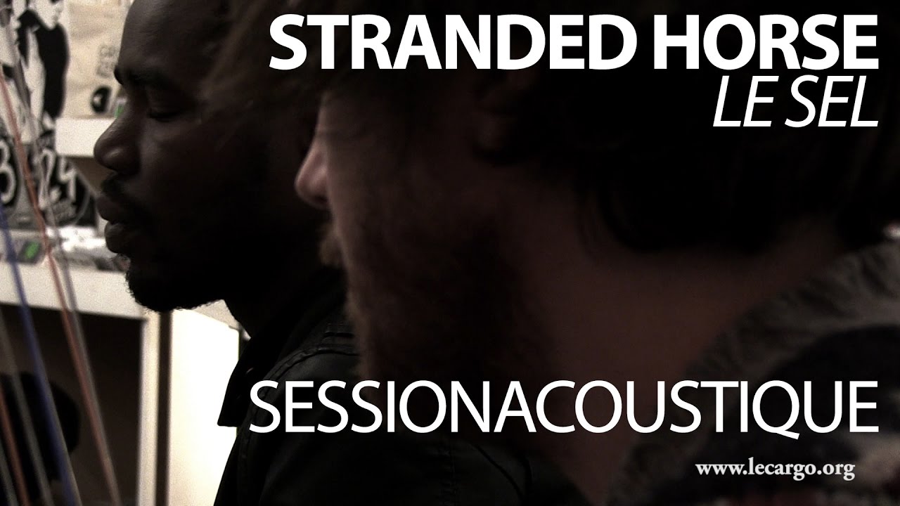 #839 Stranded Horse - Le sel (Session Acoustique)