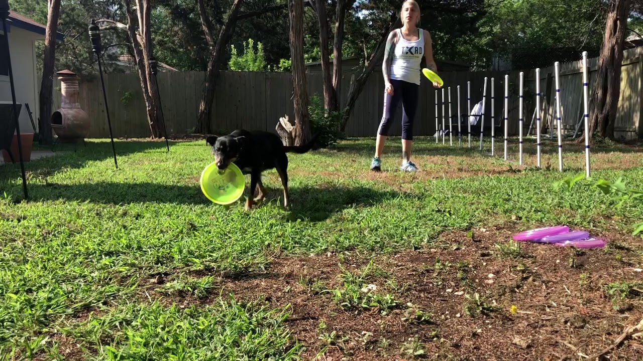 6/19/19