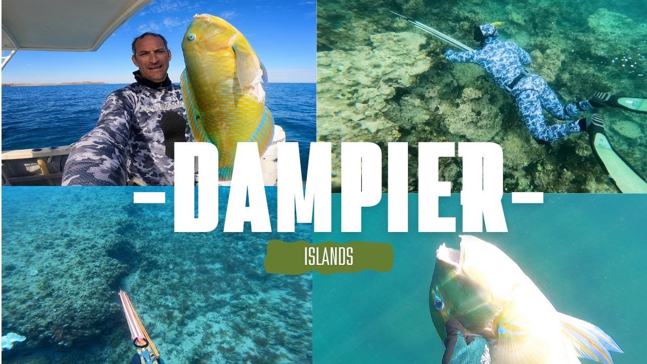 Spear Fishing Catch and Cook - Exploring Dampier Archipelago