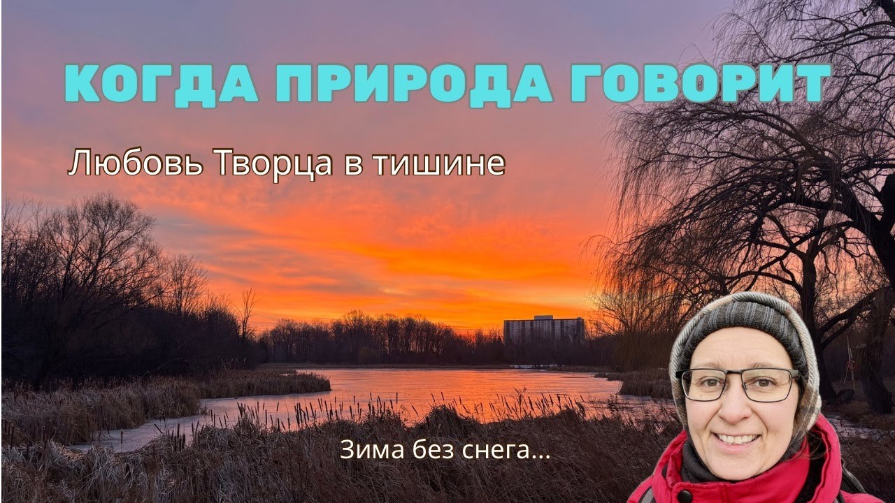 Когда лес говорит тихо: зимняя прогулка и размышления о любви Творца