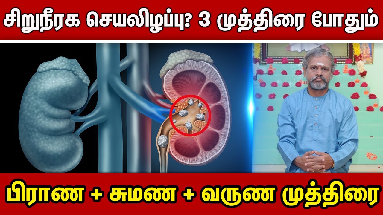 சிறுநீரக செயலிழப்பு?இந்த மூன்று முத்திரை போதும்பிராண + சுமண + வருண முத்திரை Krishnan Balaji | Kidney