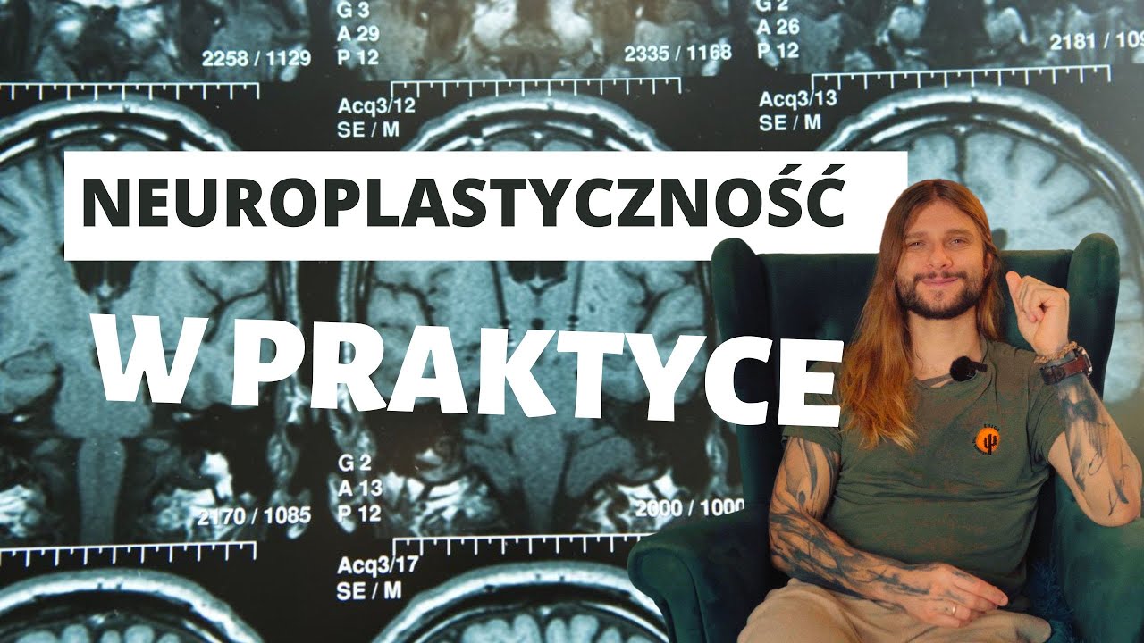 Po obejrzeniu tego twój mózg nie będzie już taki sam