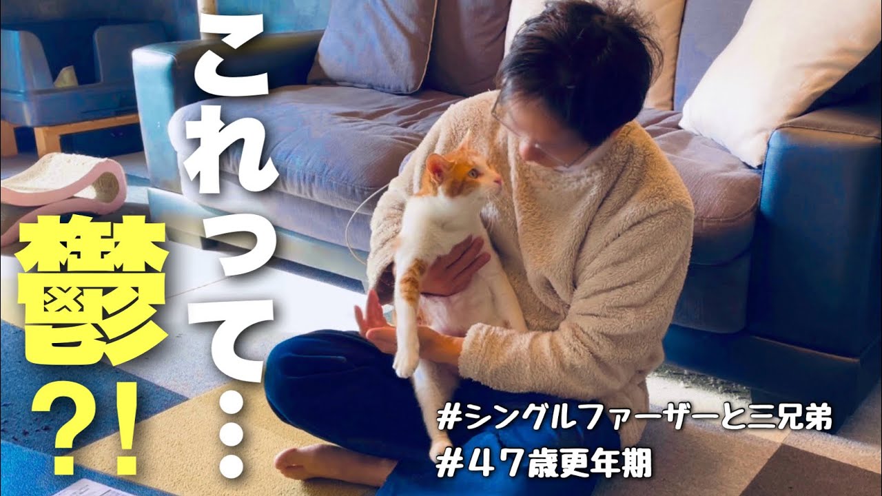 【父の悩み】３人の息子たちに救われました。(父子家庭/no.382)