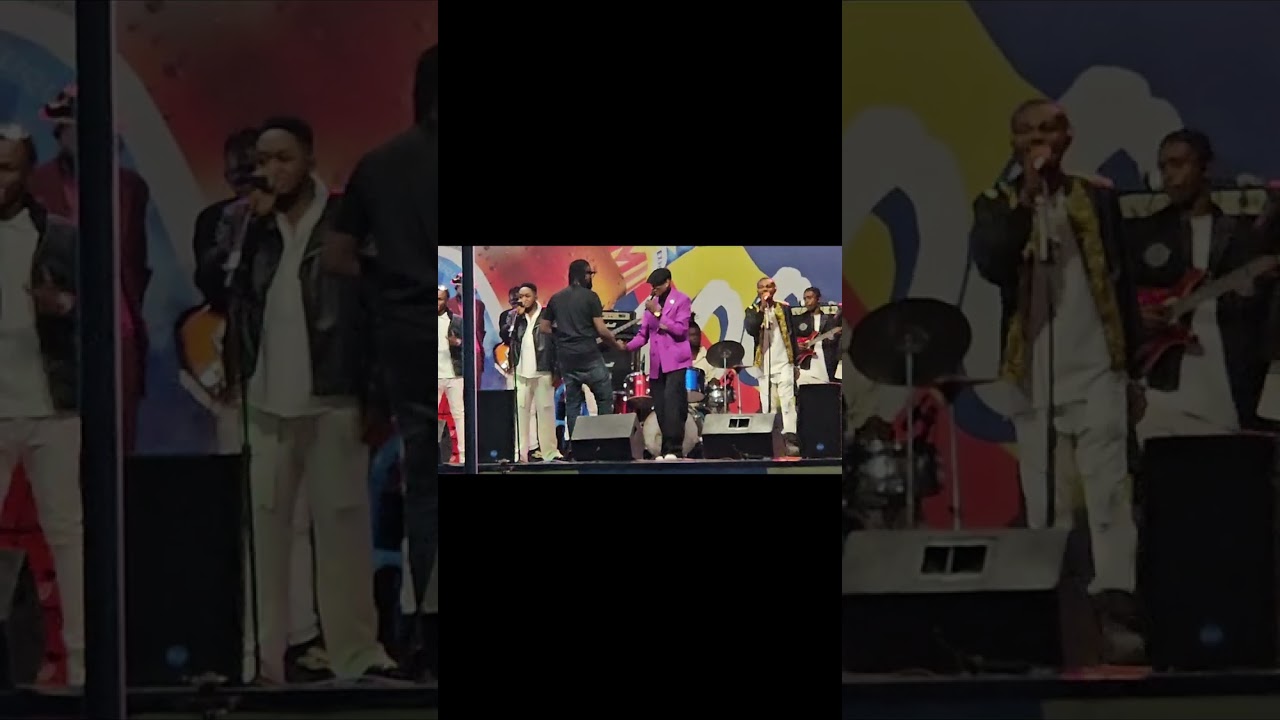 IBRATOR DÉVOILE CE QUE CACHAIT TOUJOURS LA CHANSON CERCUEIL 