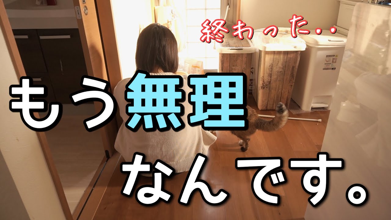 【ヤバい】やらかしてメンタル崩壊寸前なので全力で現実逃避してみた結果