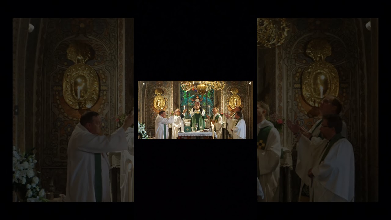 Lutheranism is pretty based #christianity #religion