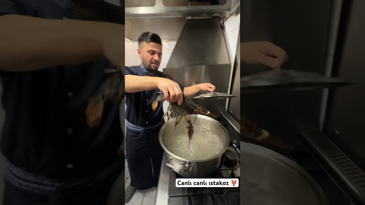 ISTAKOZ NEDEN CANLI PİŞİRİLİR YORUMA YAZ? #fishing #chef #keşfet #lobster #sea #eat #restoran #star