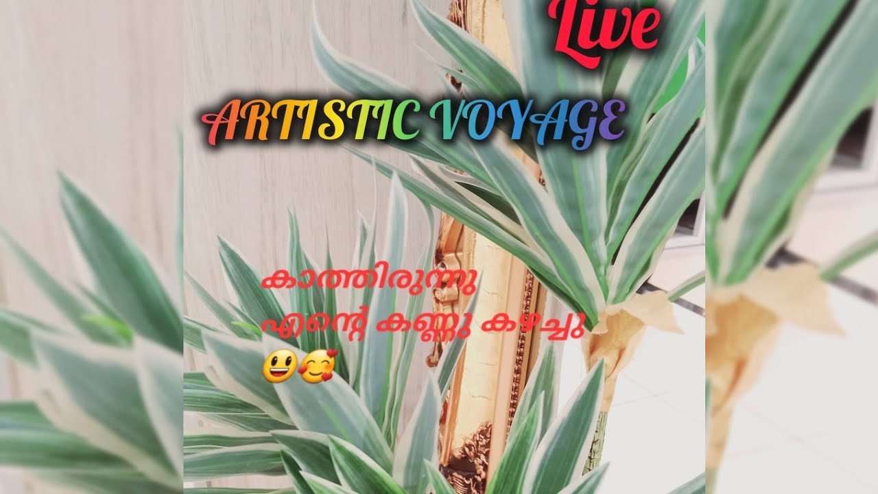 𝐀𝐑𝐓𝐈𝐒𝐓𝐈𝐂 💞 𝐕𝐎𝐘𝐀𝐆𝐄 is live!