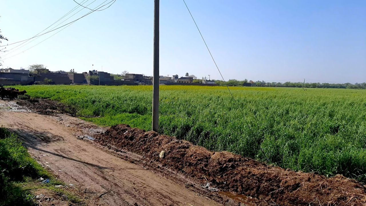 Ghawind beautiful village of the pakistan