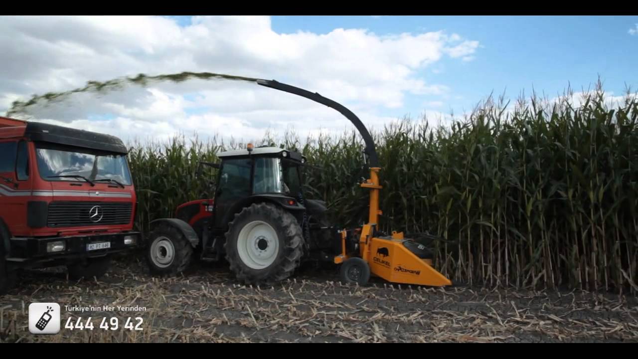 Row Independent Maize Chopper Sıra Bağımsız Silaj Makinası