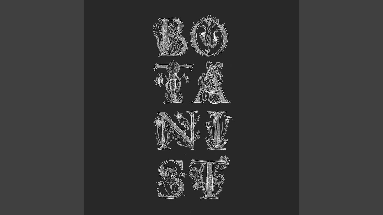 Bacteria