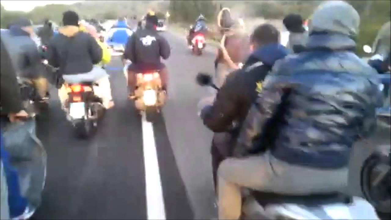 malese vs tmax