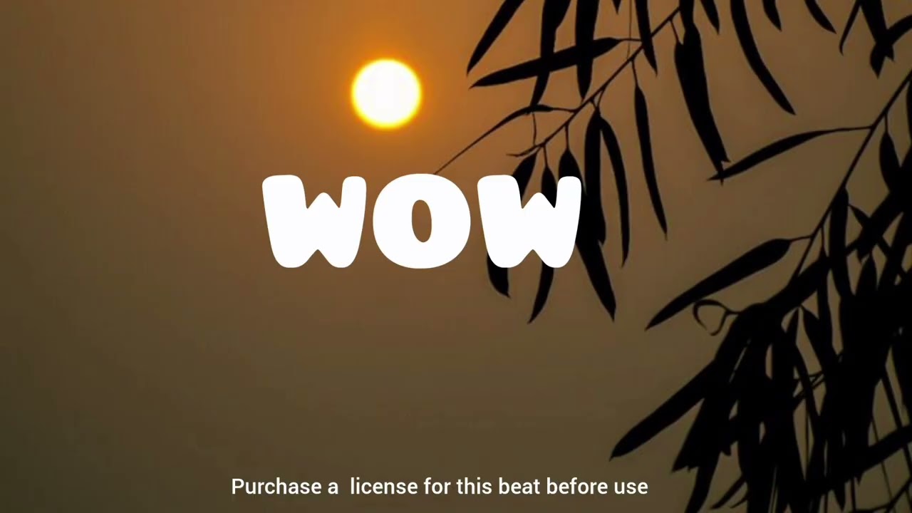 Wizkid x Asake Type Beat 2025 | Afro Fusion Beat (Prod. by Bass Beatz) - 