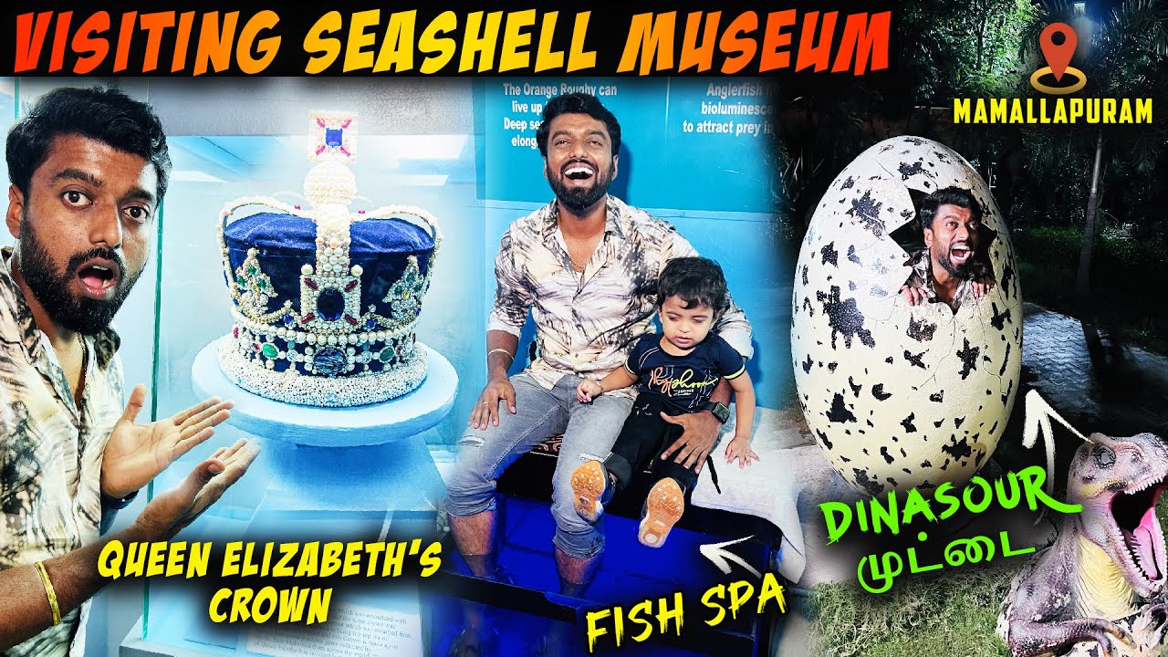 Visiting DINOSAUR Museum 🦕  Family Vlog 🦖 Mahabalipuram | DAN JR VLOGS