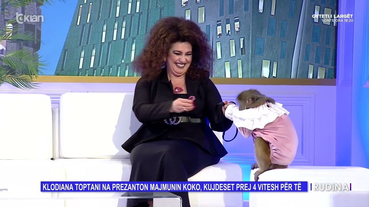 “Ka gardërobën dhe parfumin e saj...”, njihuni me Kokon majmunen më të famshme në Shqipëri