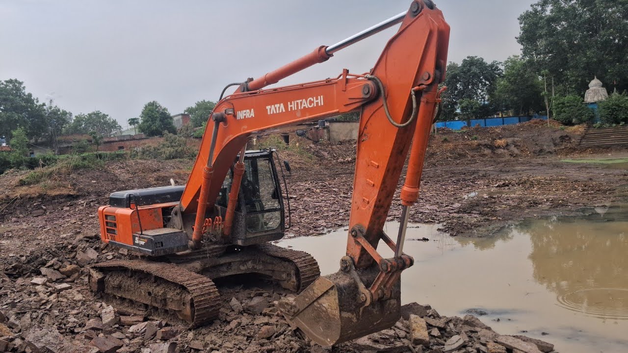 Talab ka med #chandan talab 1,  #bodajhariya