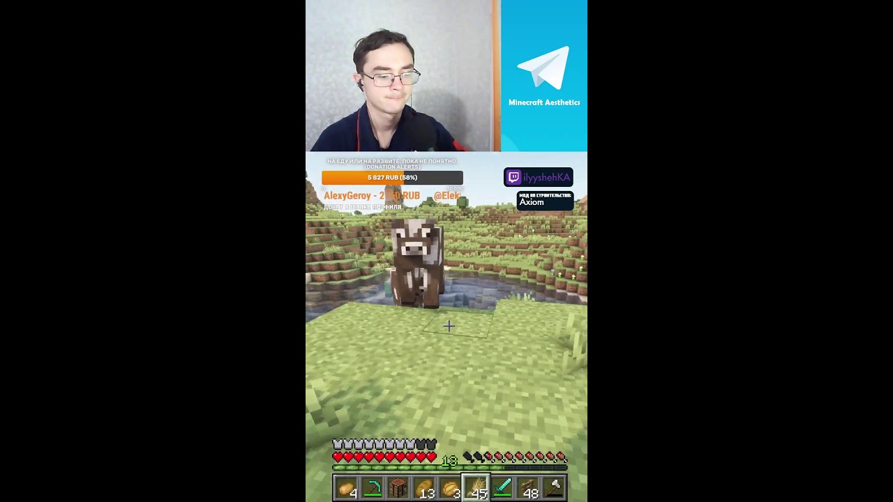 Дизайнер выживает в Minecraft