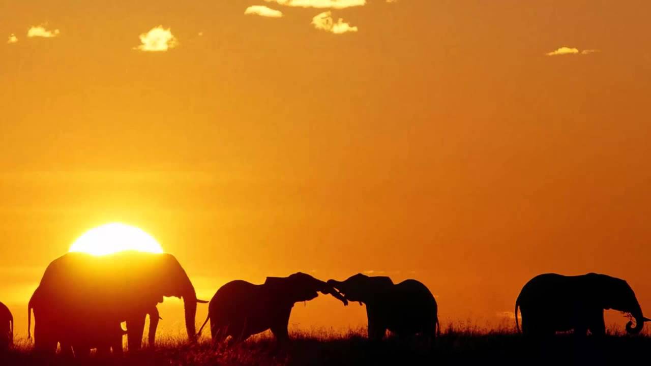 3 HOURS Best Relaxing Music | Africa | Shaman | Background, Relax, Sleep, Study, Meditatio