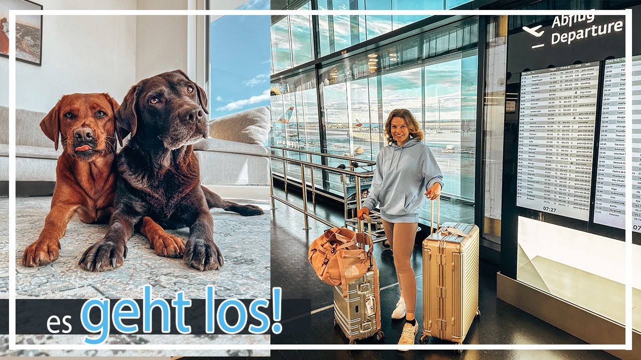 Action Waldspaziergang | endlich geht die Reise los | Chocolate + Foxred Labrador |  KaroLovesMilka