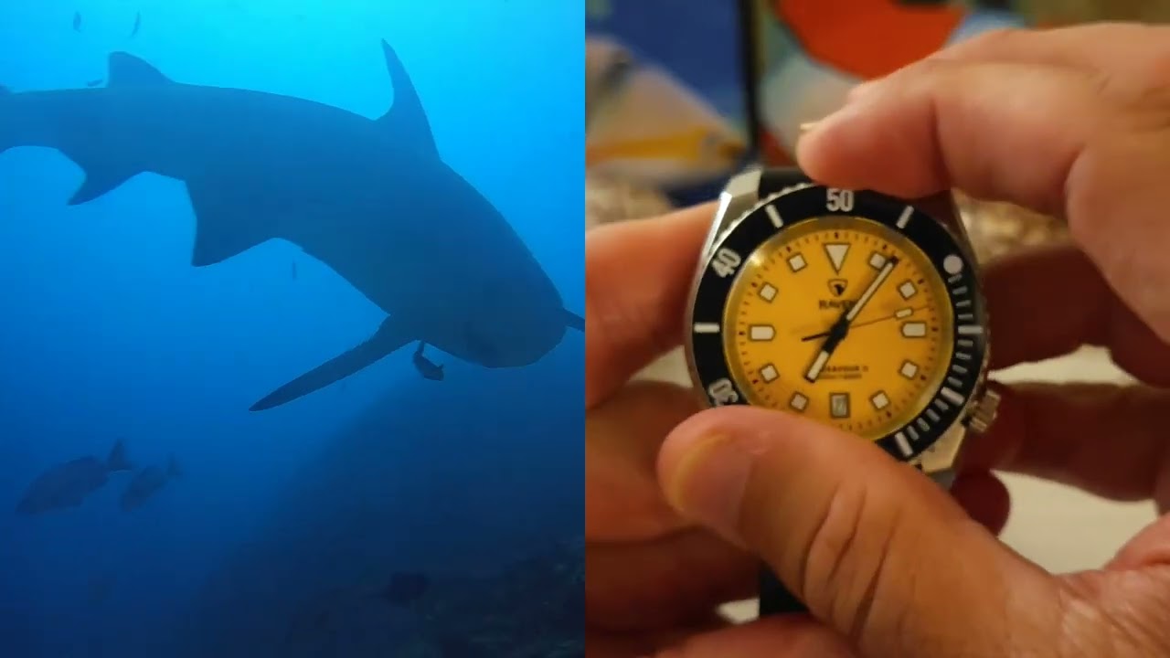 Raven Endeavour II Dive Watch Review