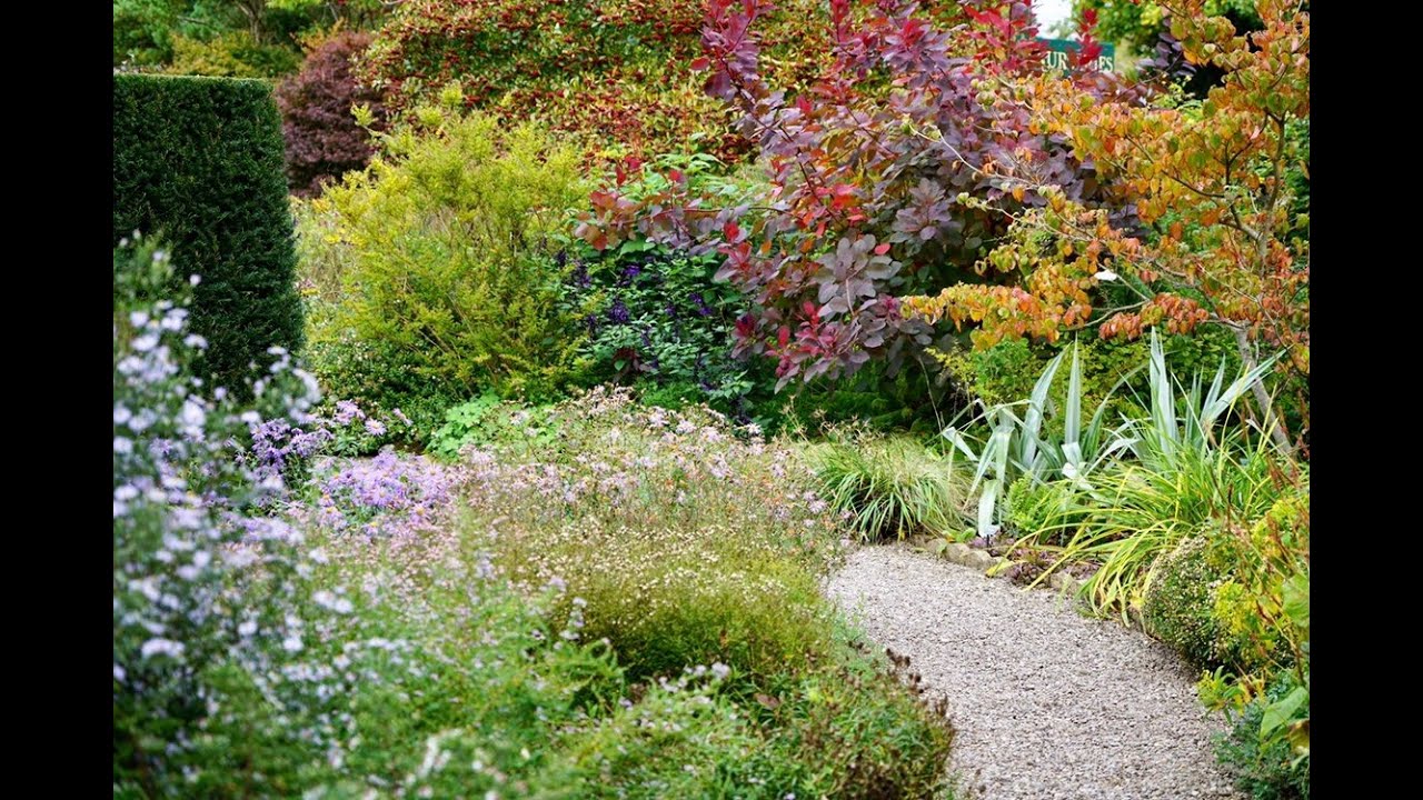 Violets and Tea - The Picton Garden - Introduction Virtual Garden Tour