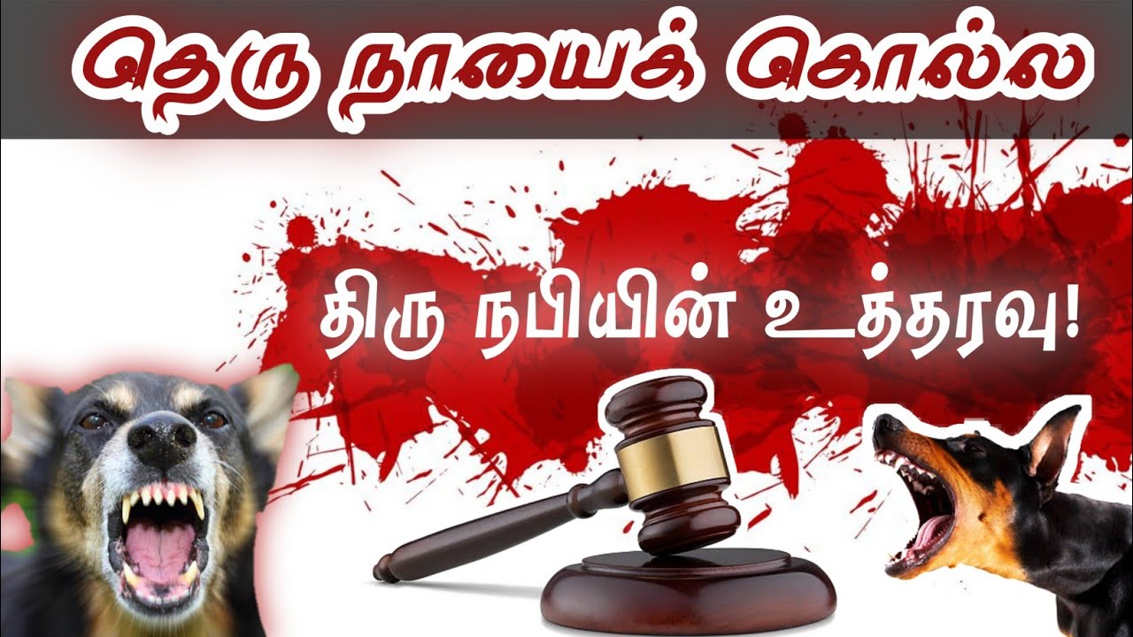 நாய்களை பிடிக்க அன்றே உத்தரவிட்ட நபி(ஸல்)அவர்கள்! #தெருநாய்#நாயை_பிடிக்க_உத்தரவு.