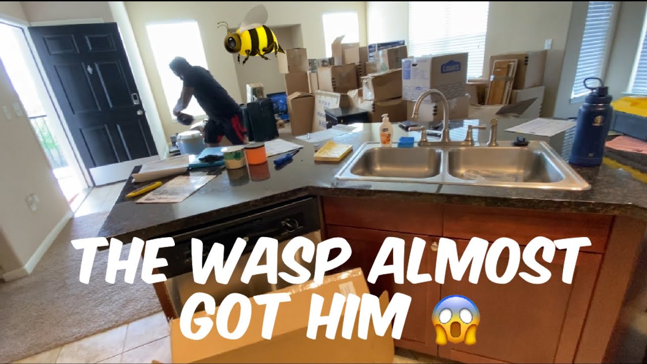 A WASP 🐝 ALMOST ATTACKED HIM 😱 | We FINALLY got our things from Las Vegas 😓