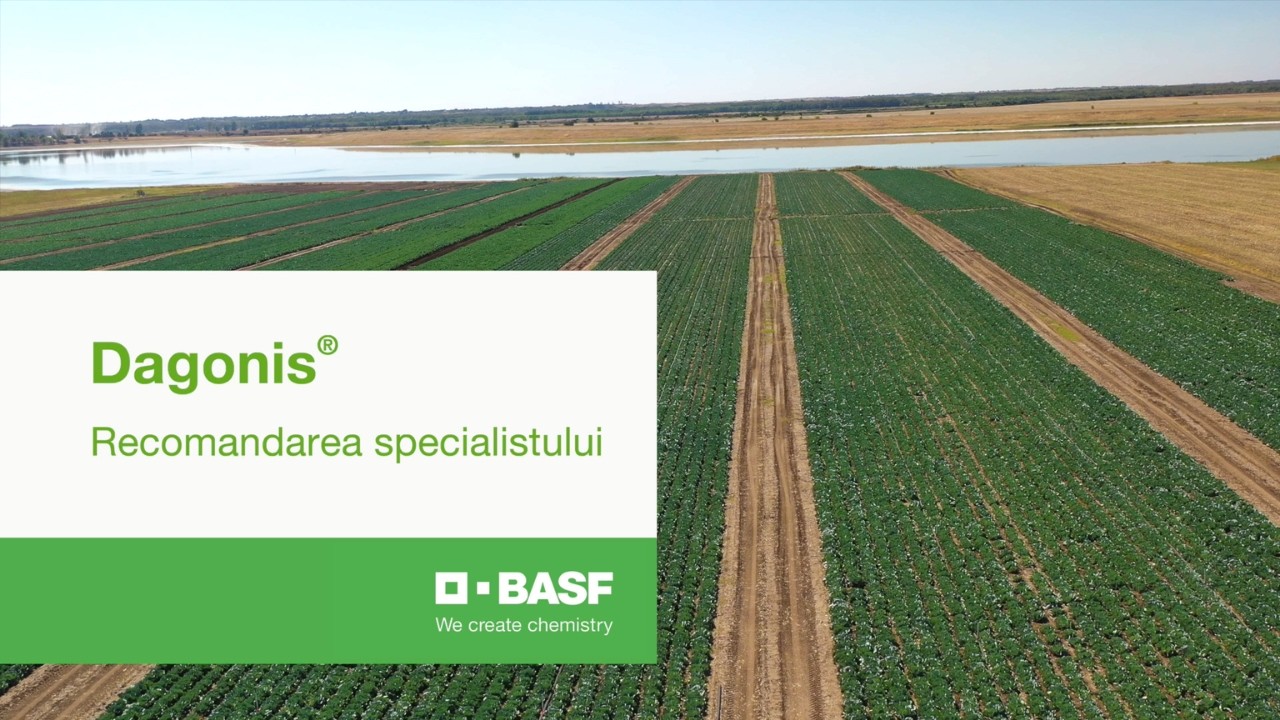 Dagonis® - fungicidul omologat pentru peste 20 de culturi | Recomandarea specialistului BASF