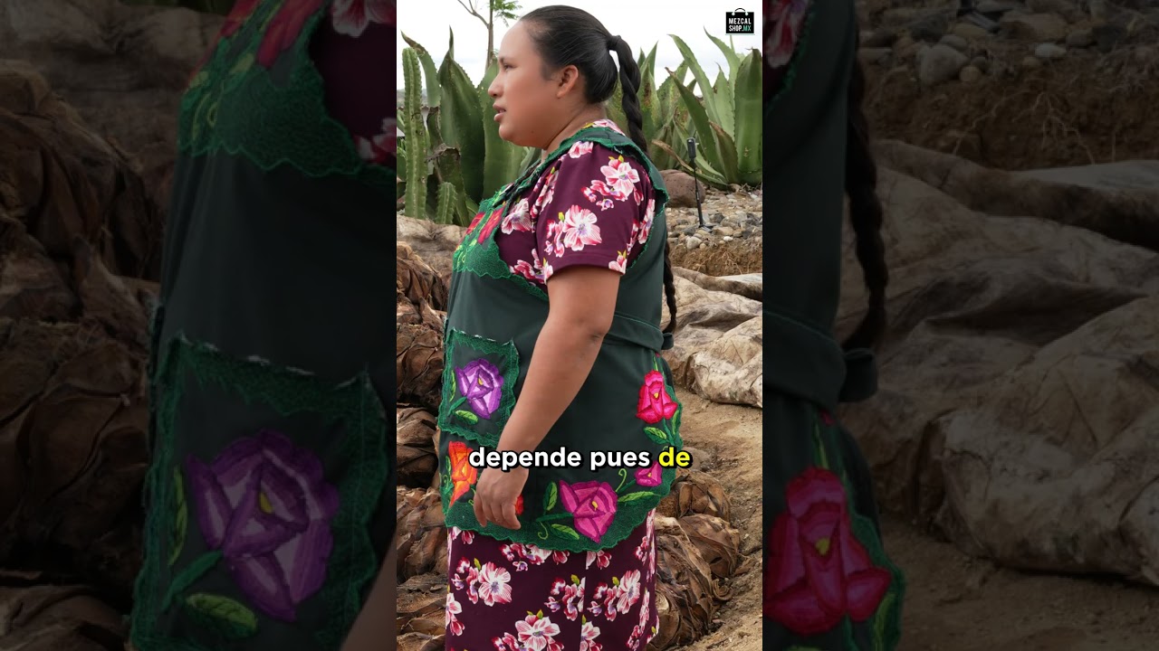 Palenque de Mezcal artesanal en Oaxaca