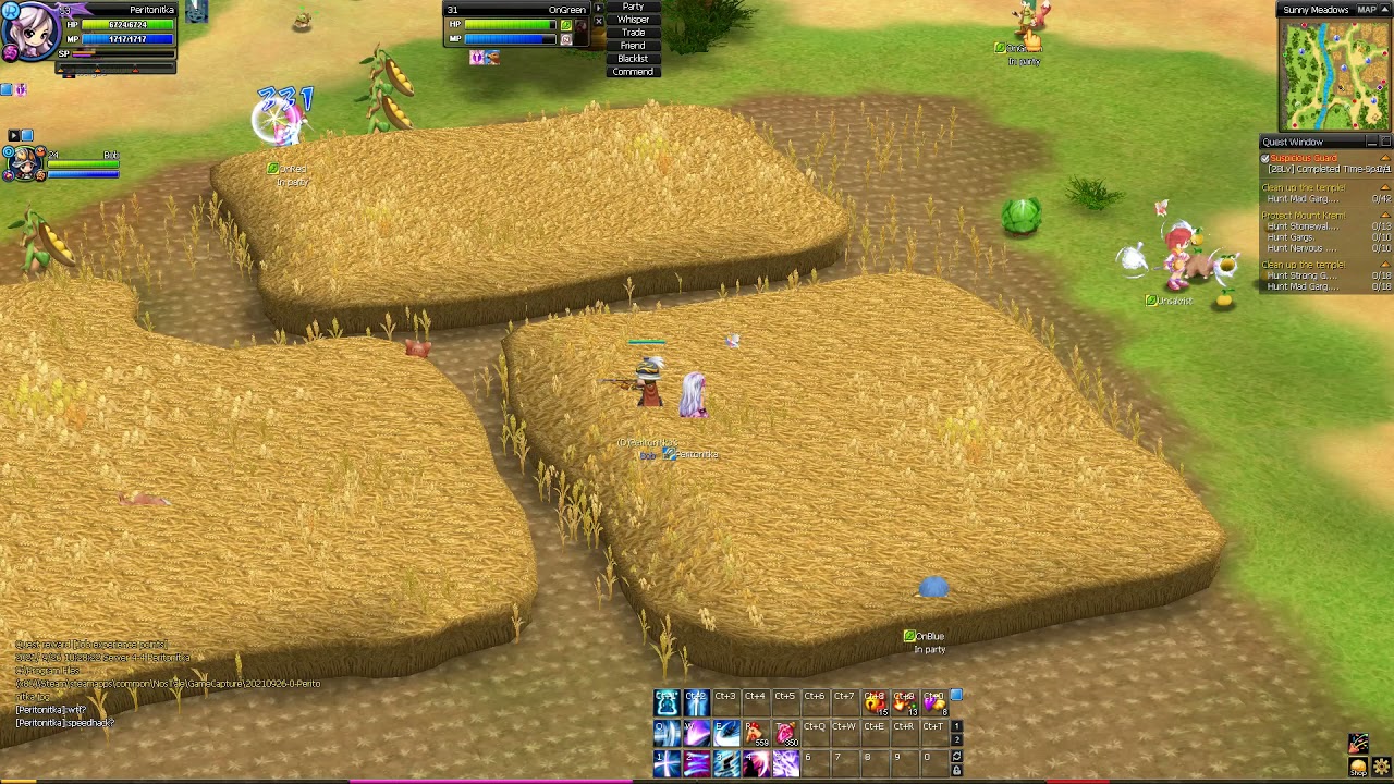 Nostale. New server. Cheaters, speedhack