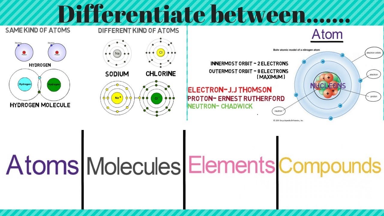 Difference between Atoms Molecules Elements & Compounds??
