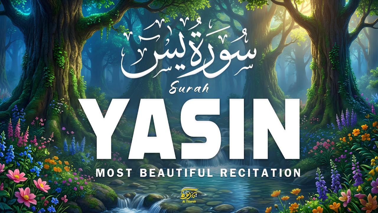Surah Yaseen (سورة يس) | Soothing Quran Tilawah for Inner Peace & Reflection | Alaa Aqel#surahyaseen