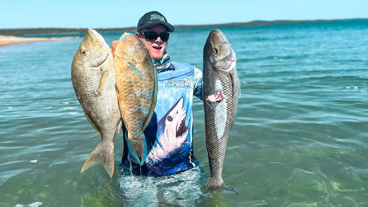 Heartbreak in paradise: Spearfishing the Queensland coast