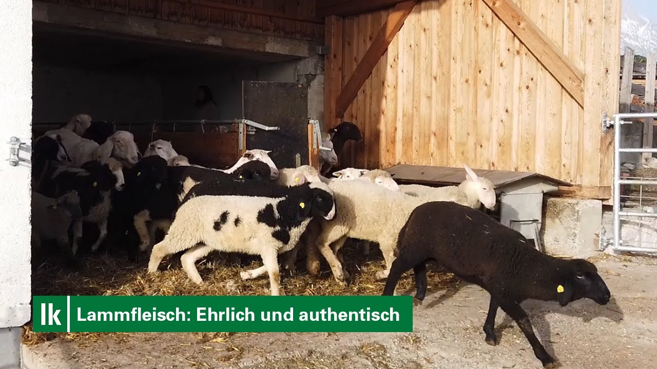 „Ehrlich und authentisch muss es sein“