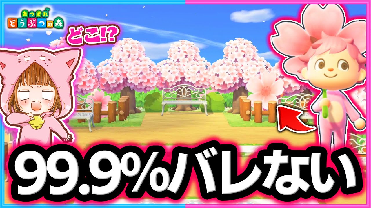 全身ピンク色で桜に紛れてかくれんぼしたら絶対バレない説ｗｗｗ【あつ森】【さくら家具/かくれんぼ】