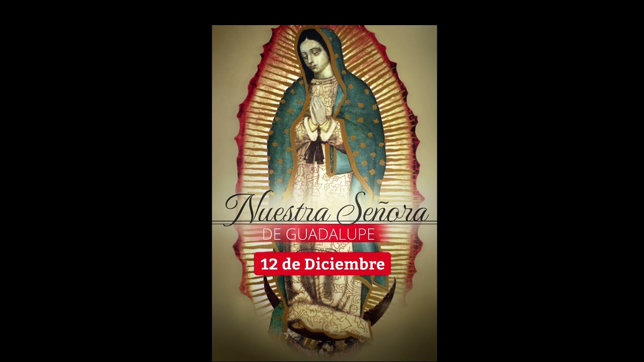 #virgenmar&iacute;a #virgendeguadalupe #guadalupe #laguadalupana
