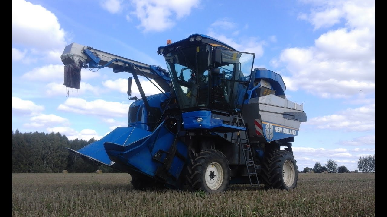 Zbiór aronii 2017 w BWB Podlasie  ll NH BRAUD 9090X ll NH T3 x2 ll